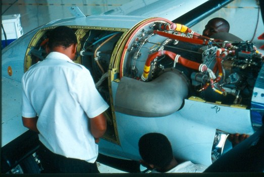 InternationalExperience